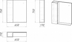 Grossman Зеркальный шкаф Альба 65 L веллингтон/бриз – фотография-4